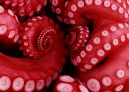 redoctopus